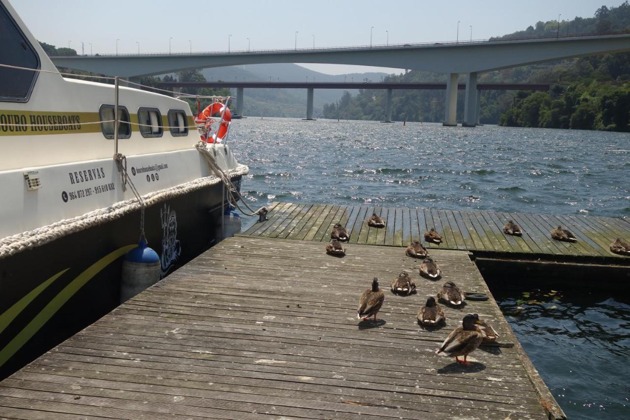 فندق Douro Houseboats Marco de Canavezes المظهر الخارجي الصورة
